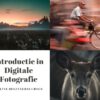fotografie cursus beginners, online fotografie cursus